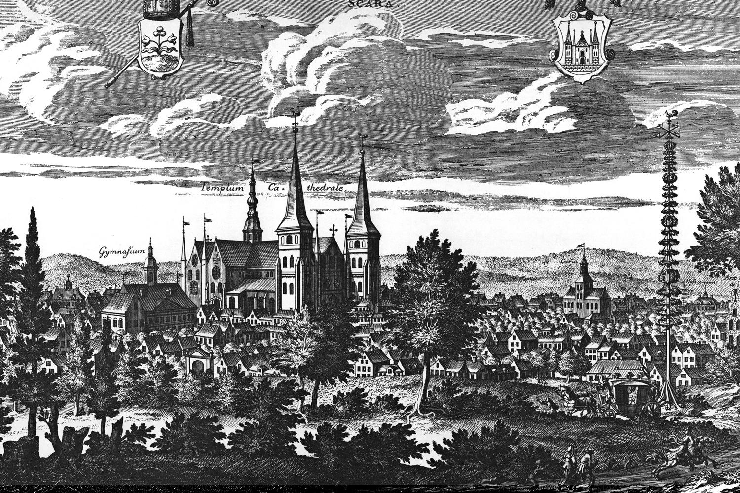 skara suecia antiqua